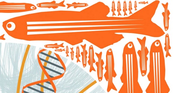 Colloque Évolution : aujourd’hui et demain